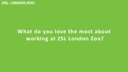 ZSL Green question card_250.png