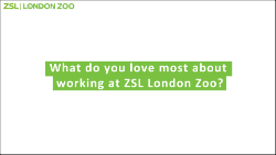 ZSL white question card outlined_250.png