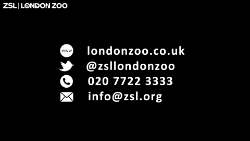 ZSL END white on black_250.png (1)