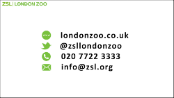 ZSL END Green icons outlined1_250.png (1)
